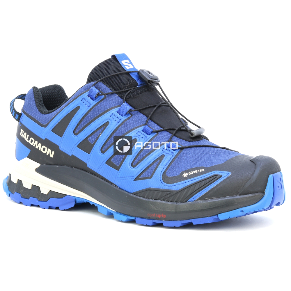 detail Wanderschuhe SALOMON XA Pro 3D V9 GTX