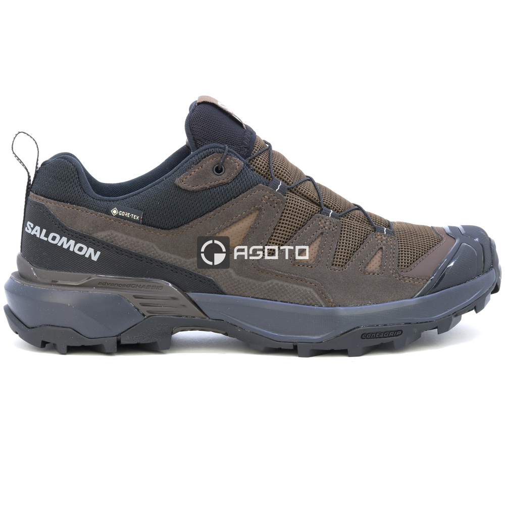 detail Wanderschuhe SALOMON X ULTRA 360 LTR GTX Dkeart