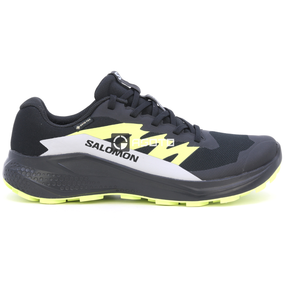 detail Wanderschuhe SALOMON Alphaglide GTX membrane Gore-Tex®