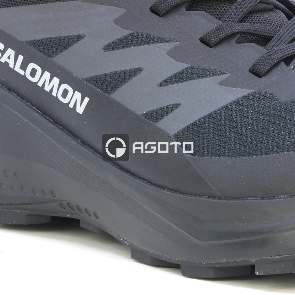 detail Wanderschuhe SALOMON Alphaglide Membran GTX Gore-Tex®