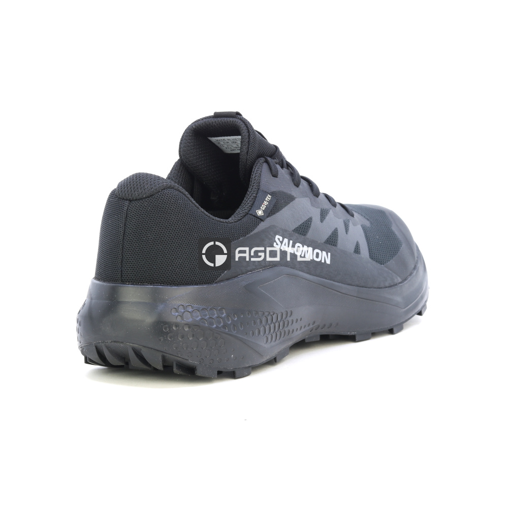 detail Wanderschuhe SALOMON Alphaglide Membran GTX Gore-Tex®