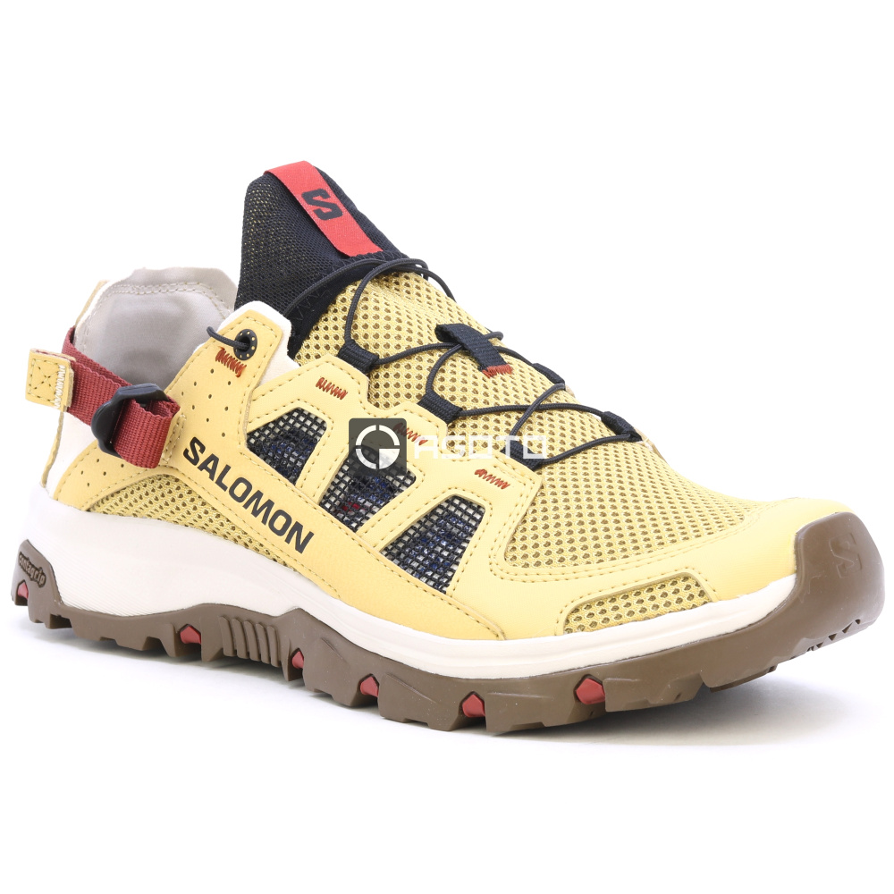 detail Wanderschuhe SALOMON Techamphibian 5 M antiqu