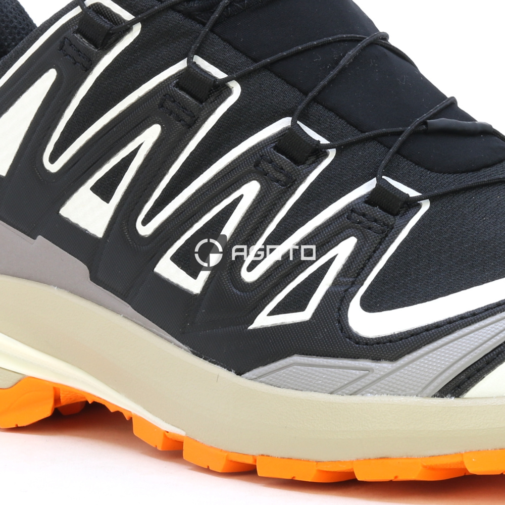 detail Wanderschuhe SALOMON XA PRO 3D V9 GTX