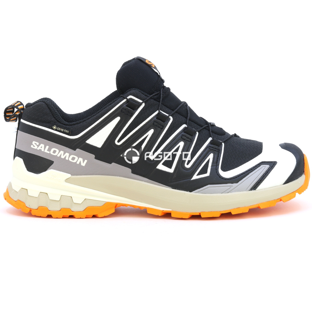 detail Wanderschuhe SALOMON XA PRO 3D V9 GTX