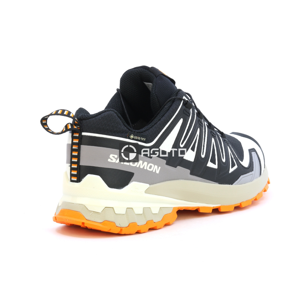 detail Wanderschuhe SALOMON XA PRO 3D V9 GTX