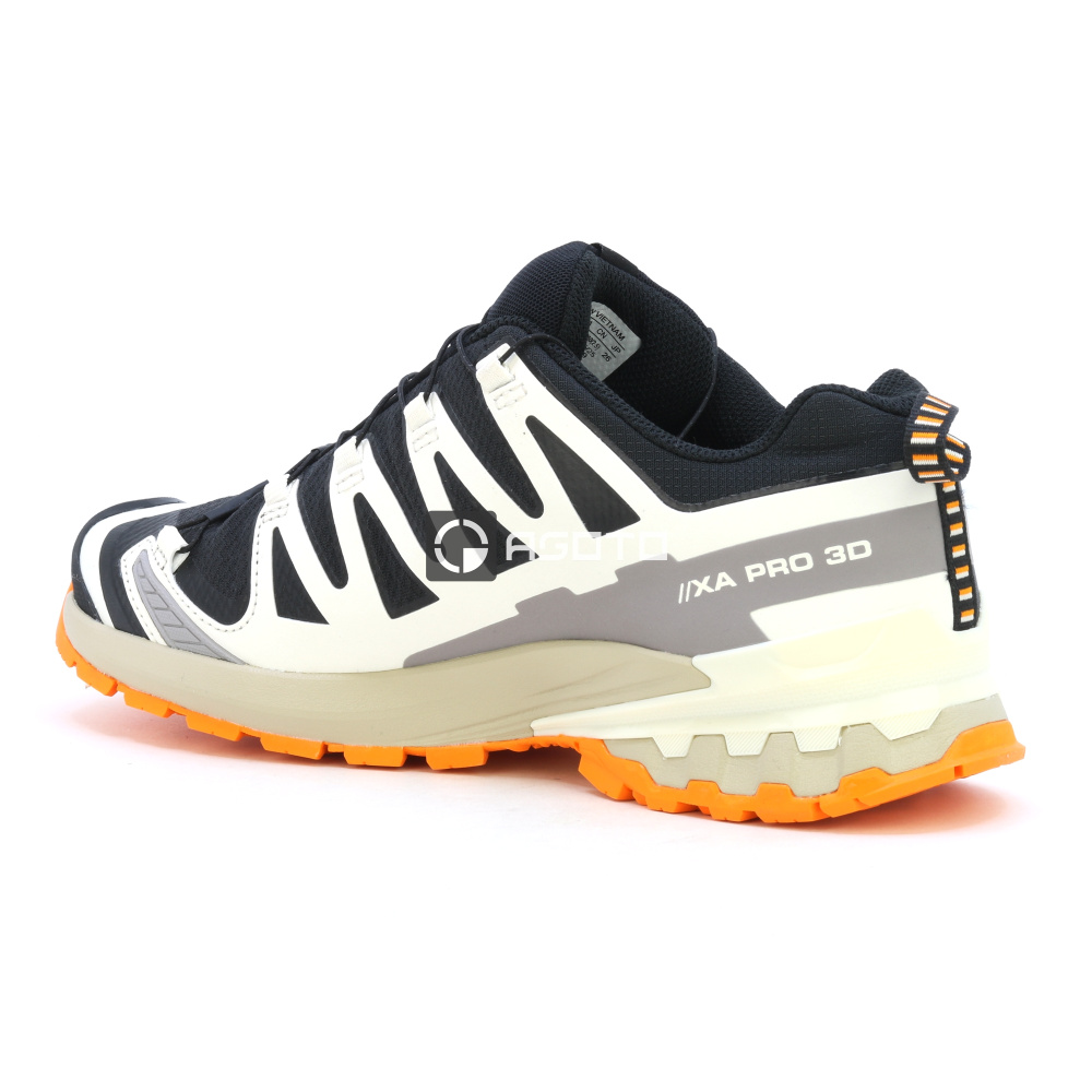 detail Wanderschuhe SALOMON XA PRO 3D V9 GTX