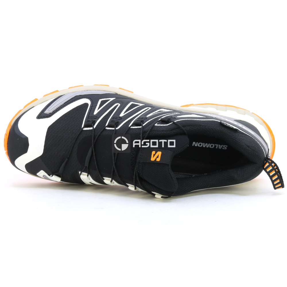 detail Wanderschuhe SALOMON XA PRO 3D V9 GTX