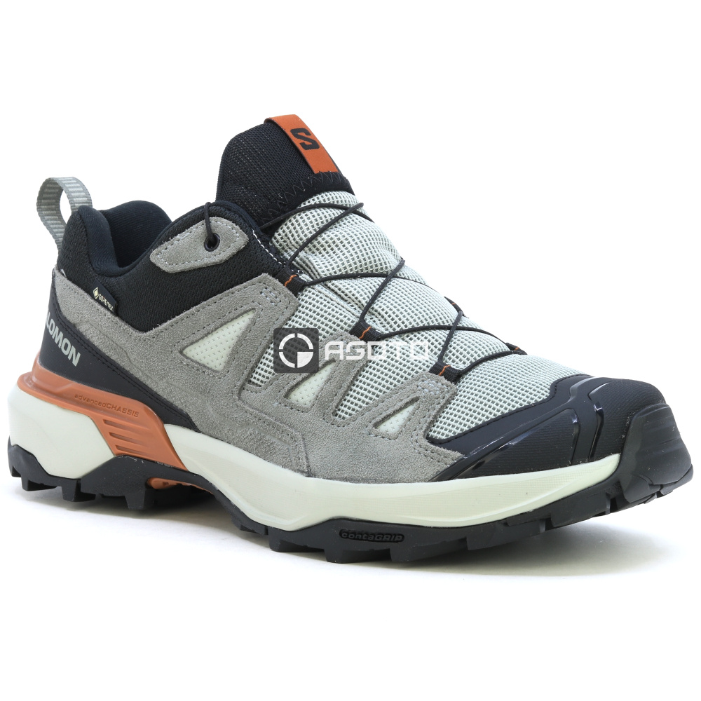 detail Wanderschuhe SALOMON X ULTRA 360 LTR GTX