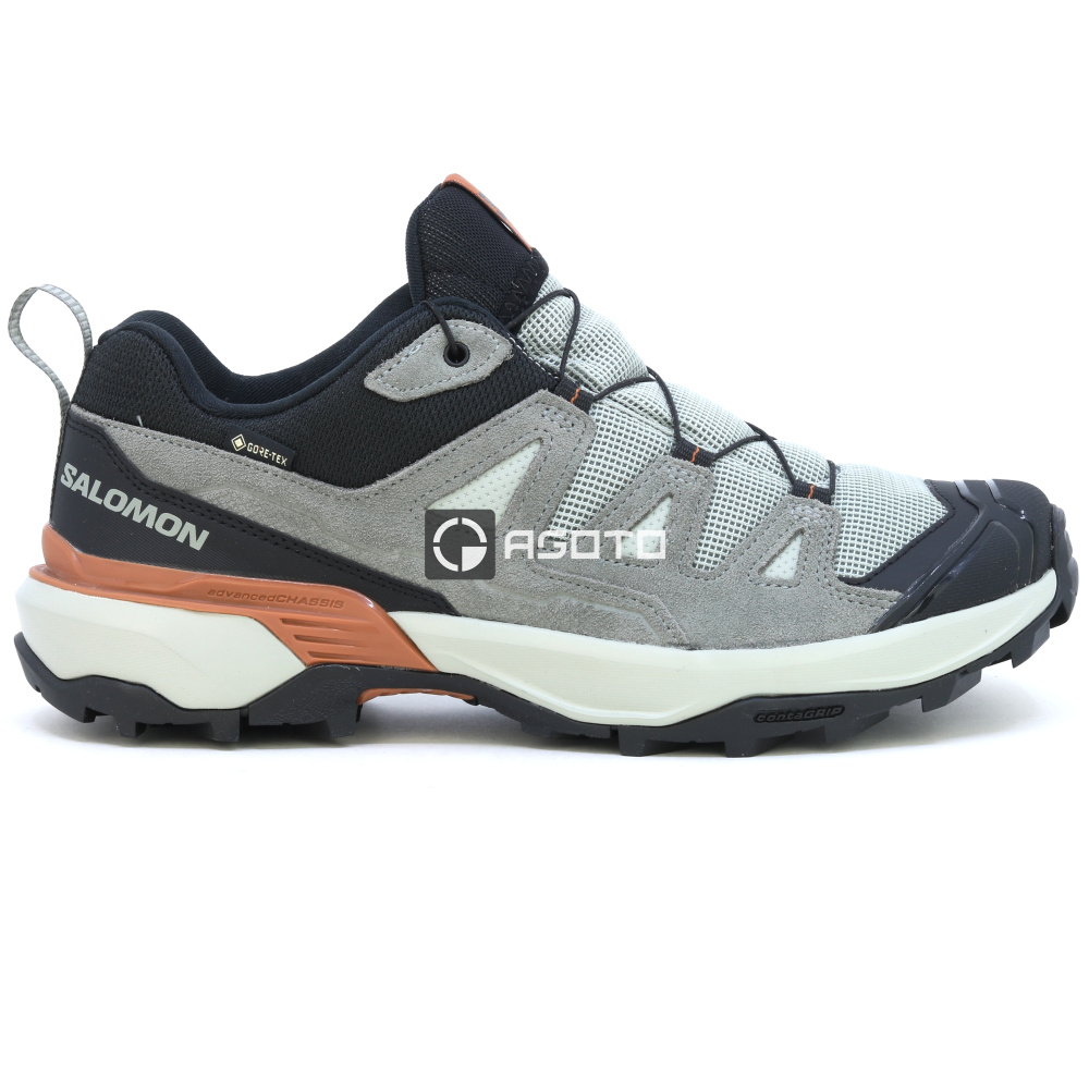 detail Wanderschuhe SALOMON X ULTRA 360 LTR GTX