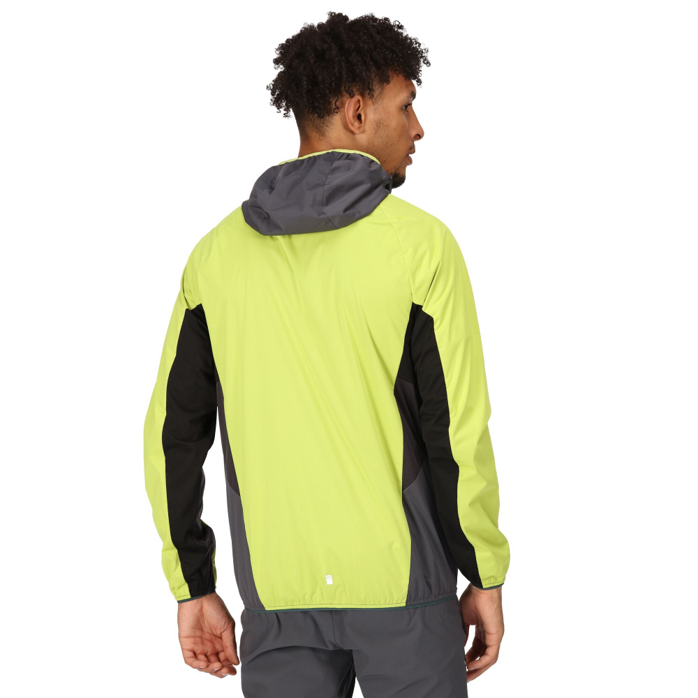 detail Herren Jacke REGATTA Tarvos VI