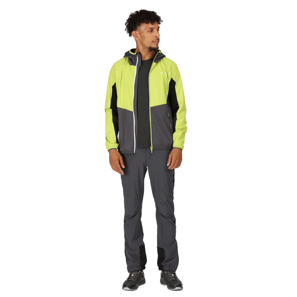 detail Herren Jacke REGATTA Tarvos VI