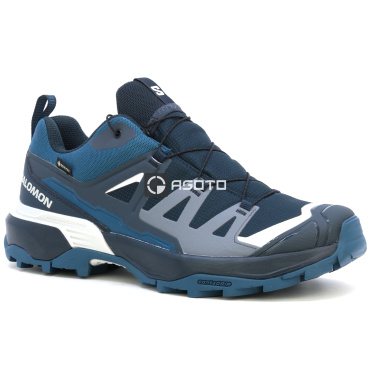 Wanderschuhe SALOMON X Ultra 360 GTX Carbon