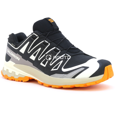 Wanderschuhe SALOMON XA PRO 3D V9 GTX