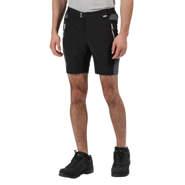 Herren-Shorts REGATTA Mountain