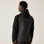 Vorschau Jacke REGATTA Newhill Hybrid
