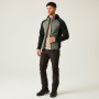 Vorschau Jacke REGATTA Andreson VIII Hybrid