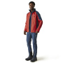 Vorschau Jacke Herren REGATTA Calderdale V Isotex 5000 mm