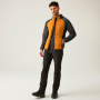 Vorschau Jacke Herren REGATTA Andreson VIII Hybrid