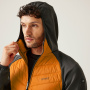 Vorschau Jacke Herren REGATTA Andreson VIII Hybrid