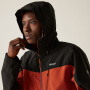 Vorschau Jacke Herren REGATTA Birchdale Isotex 10 000 mm