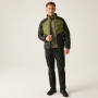 Vorschau Jacke Herren REGATTA Dalent Winter