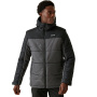Vorschau Jacke Herren Winter REGATTA Nevado VII