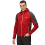 Vorschau Herren-Sweatshirt REGATTA Attare Stretch