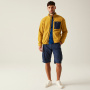 Vorschau REGATTA Frankie F/Z gelbe Herren Outdoor-Fleecejacke, bequem und angenehm zu tra
