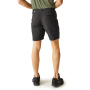 Vorschau REGATTA Leesville Shrt II Herren-Shorts