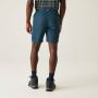 Vorschau REGATTA Leesville Shrt III Herren-Shorts